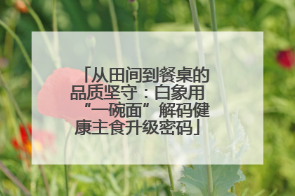 从田间到餐桌的品质坚守：白象用“一碗面”解码健康主食升级密码