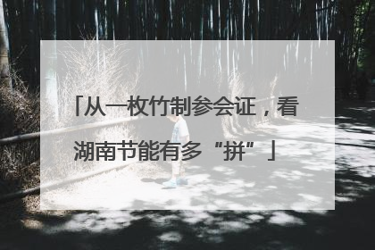 从一枚竹制参会证，看湖南节能有多“拼”