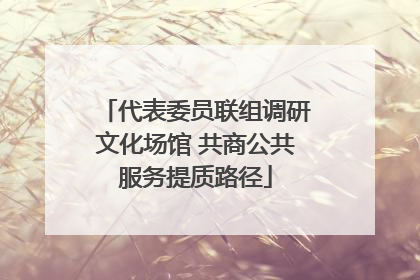 代表委员联组调研文化场馆 共商公共服务提质路径