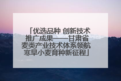 优选品种 创新技术 推广成果——甘肃省麦类产业技术体系领航寒旱小麦育种新征程