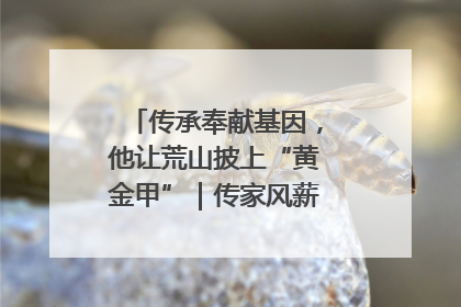 传承奉献基因，他让荒山披上“黄金甲”｜传家风薪火 颂家国情深