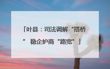 叶县：司法调解“搭桥” 稳企护商“路宽”