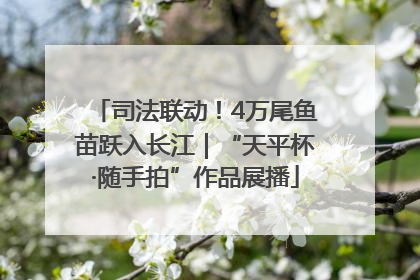 司法联动！4万尾鱼苗跃入长江｜“天平杯·随手拍”作品展播