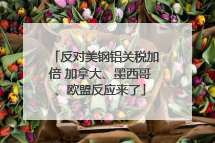 反对美钢铝关税加倍 加拿大、墨西哥、欧盟反应来了