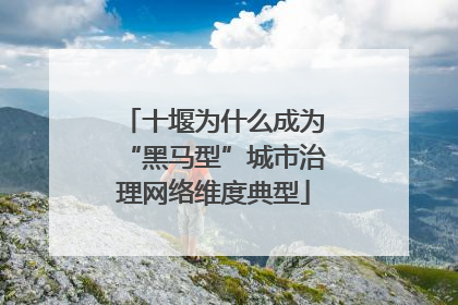 十堰为什么成为“黑马型”城市治理网络维度典型