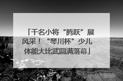 千名小将“腾跃”展风采！“琴川杯”少儿体能大比武圆满落幕