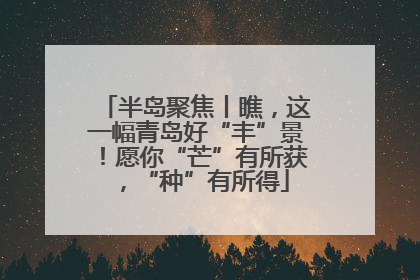 半岛聚焦丨瞧，这一幅青岛好“丰”景！愿你“芒”有所获，“种”有所得