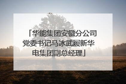 华能集团安徽分公司党委书记马冰武履新华电集团副总经理