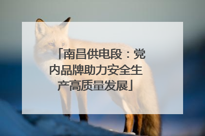 南昌供电段：党内品牌助力安全生产高质量发展