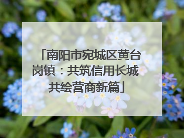 南阳市宛城区黄台岗镇：共筑信用长城 共绘营商新篇