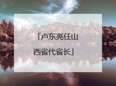 卢东亮任山西省代省长