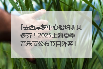 去西岸梦中心船坞听贝多芬！2025上海夏季音乐节公布节目阵容