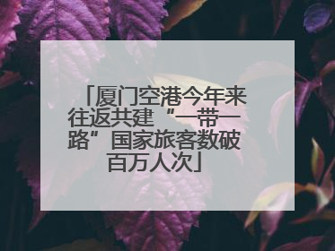 厦门空港今年来往返共建“一带一路”国家旅客数破百万人次