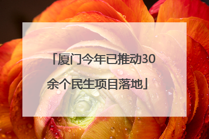 厦门今年已推动30余个民生项目落地
