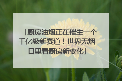 厨房油烟正在催生一个千亿级新赛道！世界无烟日里看厨房新变化