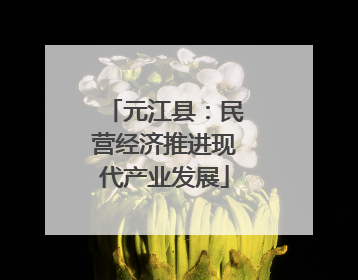元江县：民营经济推进现代产业发展