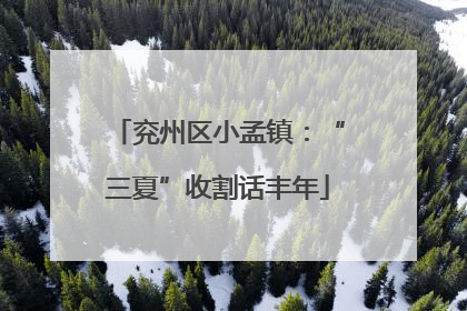兖州区小孟镇：“三夏”收割话丰年