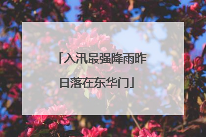 入汛最强降雨昨日落在东华门