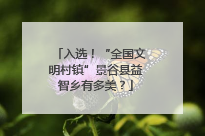 入选！“全国文明村镇”景谷县益智乡有多美？