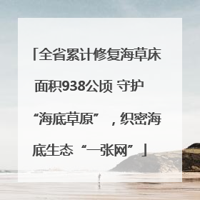 全省累计修复海草床面积938公顷 守护“海底草原”，织密海底生态“一张网”