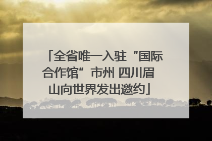 全省唯一入驻“国际合作馆”市州 四川眉山向世界发出邀约