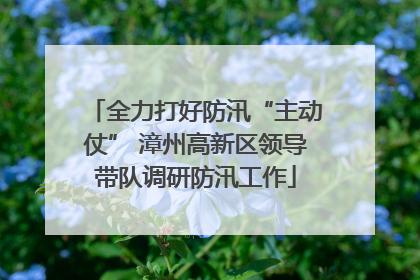 全力打好防汛“主动仗” 漳州高新区领导带队调研防汛工作