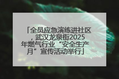 全员应急演练进社区，武汉龙泉街2025年燃气行业“安全生产月”宣传活动举行