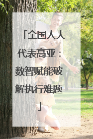 全国人大代表高亚：数智赋能破解执行难题