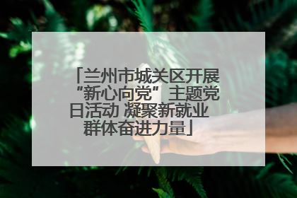 兰州市城关区开展“新心向党”主题党日活动 凝聚新就业群体奋进力量