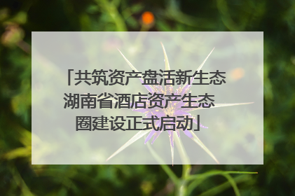 共筑资产盘活新生态 湖南省酒店资产生态圈建设正式启动