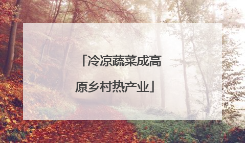 冷凉蔬菜成高原乡村热产业
