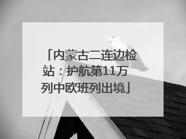 内蒙古二连边检站：护航第11万列中欧班列出境