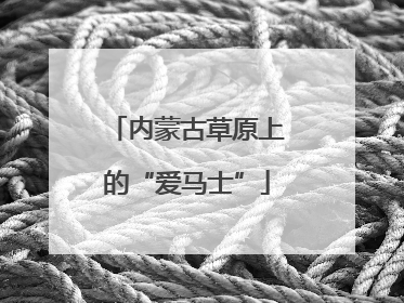内蒙古草原上的“爱马士”
