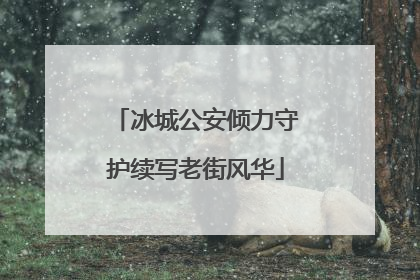 冰城公安倾力守护续写老街风华