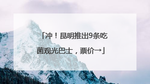 冲！昆明推出9条吃菌观光巴士，票价→