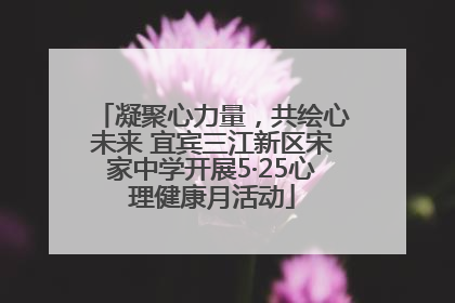凝聚心力量，共绘心未来 宜宾三江新区宋家中学开展5·25心理健康月活动
