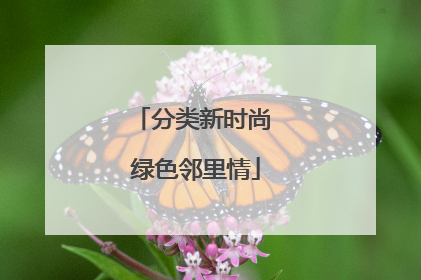 分类新时尚 绿色邻里情