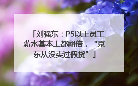 刘强东：P5以上员工薪水基本上都翻倍，“京东从没卖过假货”