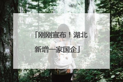 刚刚宣布！湖北新增一家国企