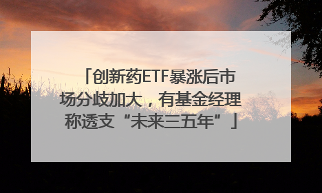 创新药ETF暴涨后市场分歧加大，有基金经理称透支“未来三五年”