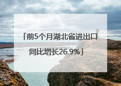 前5个月湖北省进出口同比增长26.9%