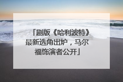 剧版《哈利波特》最新选角出炉，马尔福饰演者公开
