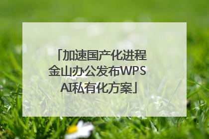 加速国产化进程 金山办公发布WPS AI私有化方案