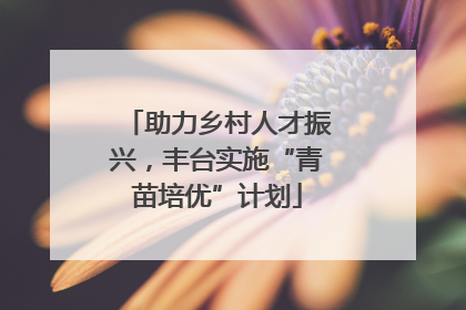 助力乡村人才振兴，丰台实施“青苗培优”计划