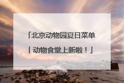 北京动物园夏日菜单丨动物食堂上新啦！