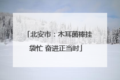 北安市：木耳菌棒挂袋忙 奋进正当时