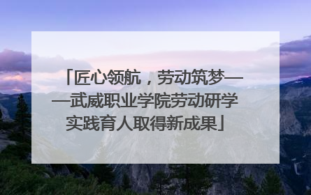 匠心领航，劳动筑梦——武威职业学院劳动研学实践育人取得新成果