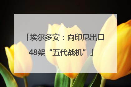 埃尔多安：向印尼出口48架“五代战机”