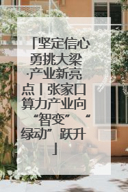 坚定信心 勇挑大梁·产业新亮点丨张家口算力产业向“智变”“绿动”跃升