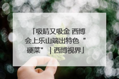 吸睛又吸金 西博会上乐山端出特色“硬菜”｜西博视界
